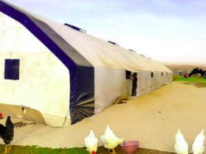 Tavuk Kümes Çadırları Kırıkkale