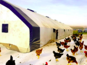 Tavuk Kümes Çadırları Bursa