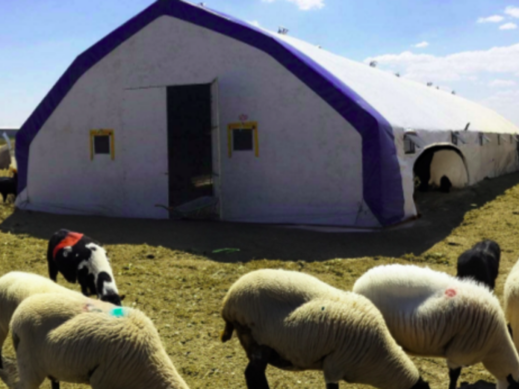 Küçükbaş Hayvan Çadırı Konya